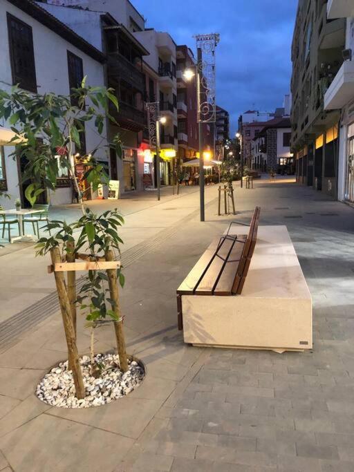 Estudio Con Amplia Terraza En Puerto De La Cruz Ngoại thất bức ảnh